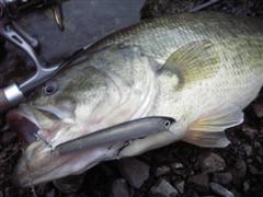 IMGP0050 (WinCE).JPG